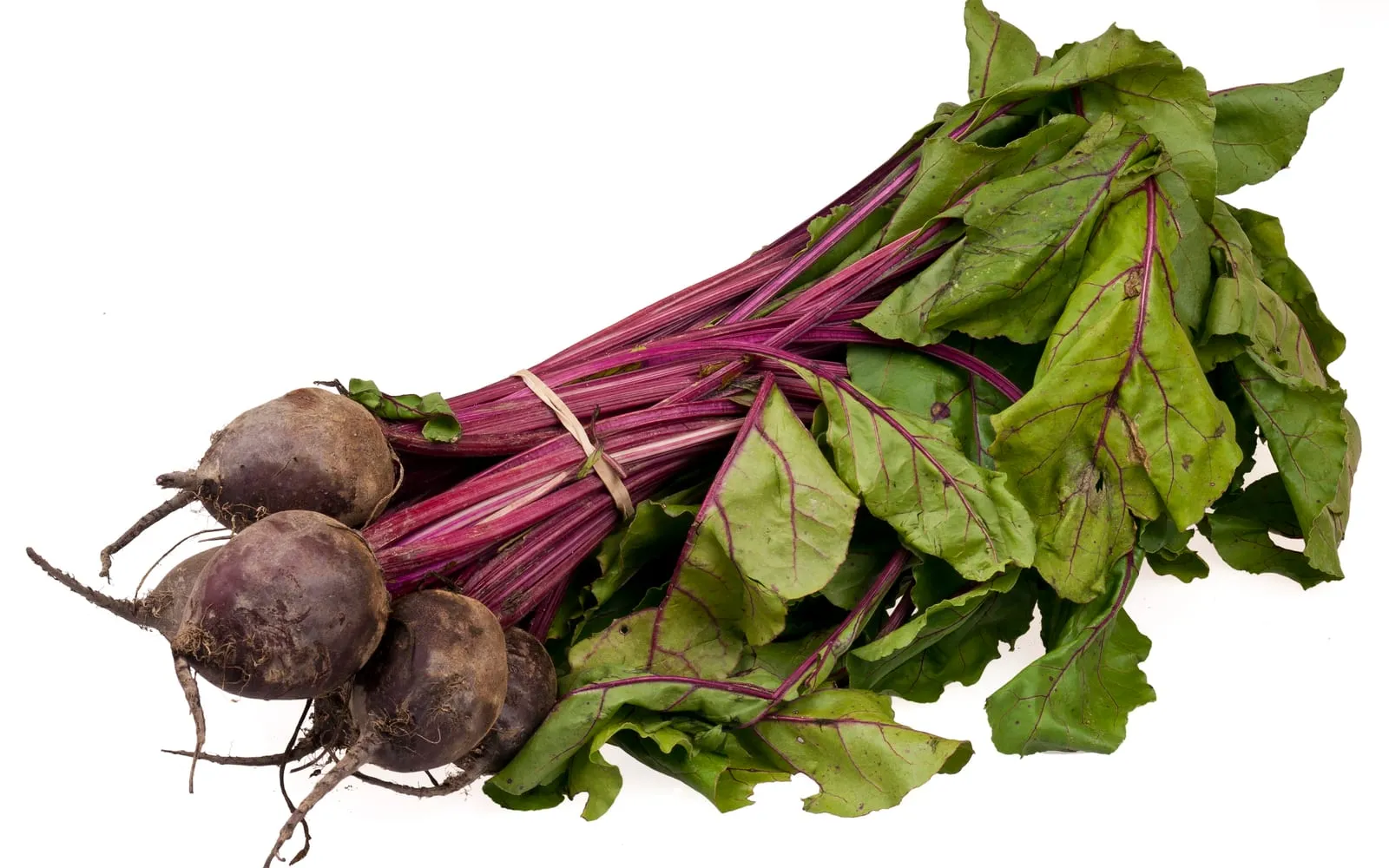 A bundle of freshly pulled beetroot with dark red roots and crimson-stemmed green leaves