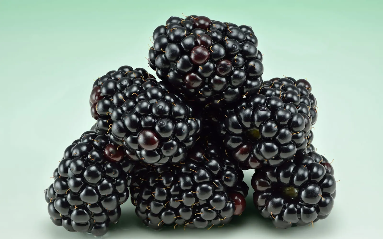 A pile of ripe blackberries filling the frame, each made of many glossy black drupelets