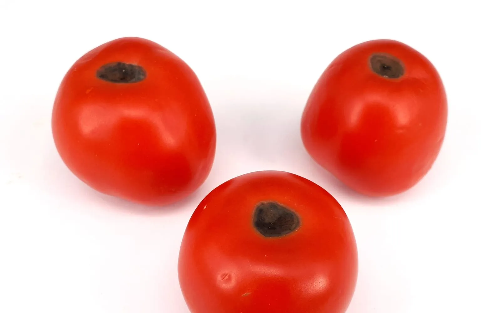 Three red tomatoes photographed against white, each with a flat dark brown leathery patch at the base