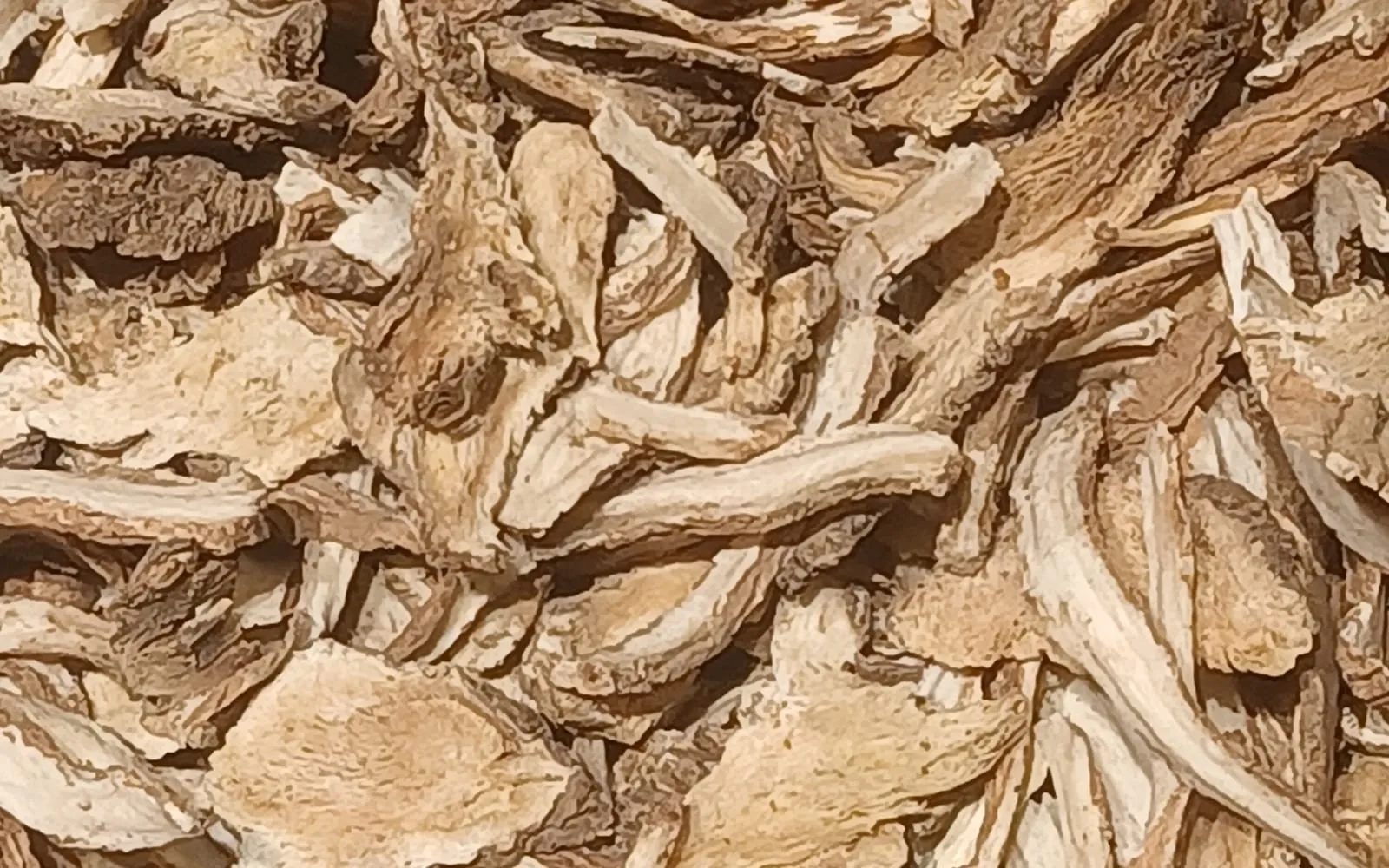 Dried, sliced dong quai root pieces, pale brown and irregularly shaped