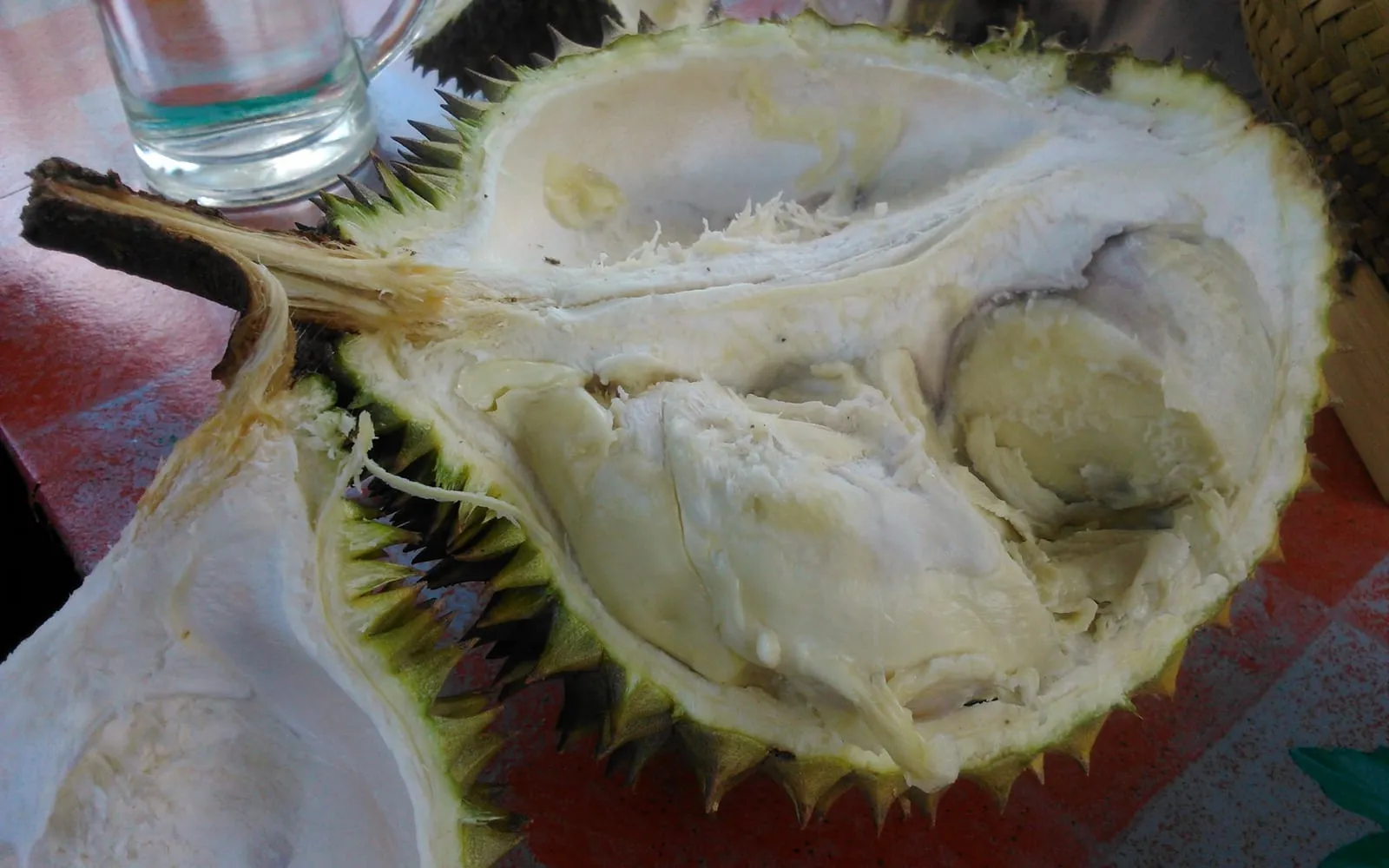 A durian levered open to show the pale soft aril around each seed