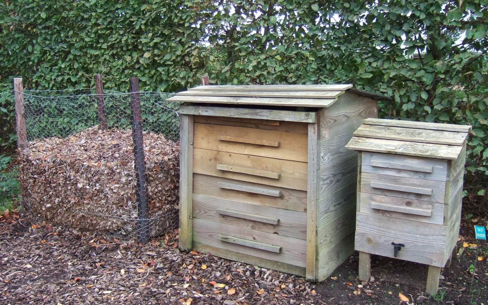A wire cage packed with fallen leaves, a slatted wooden compost bin, and a smaller wooden wormery on legs, on bare earth in front of a clipped beech hedge