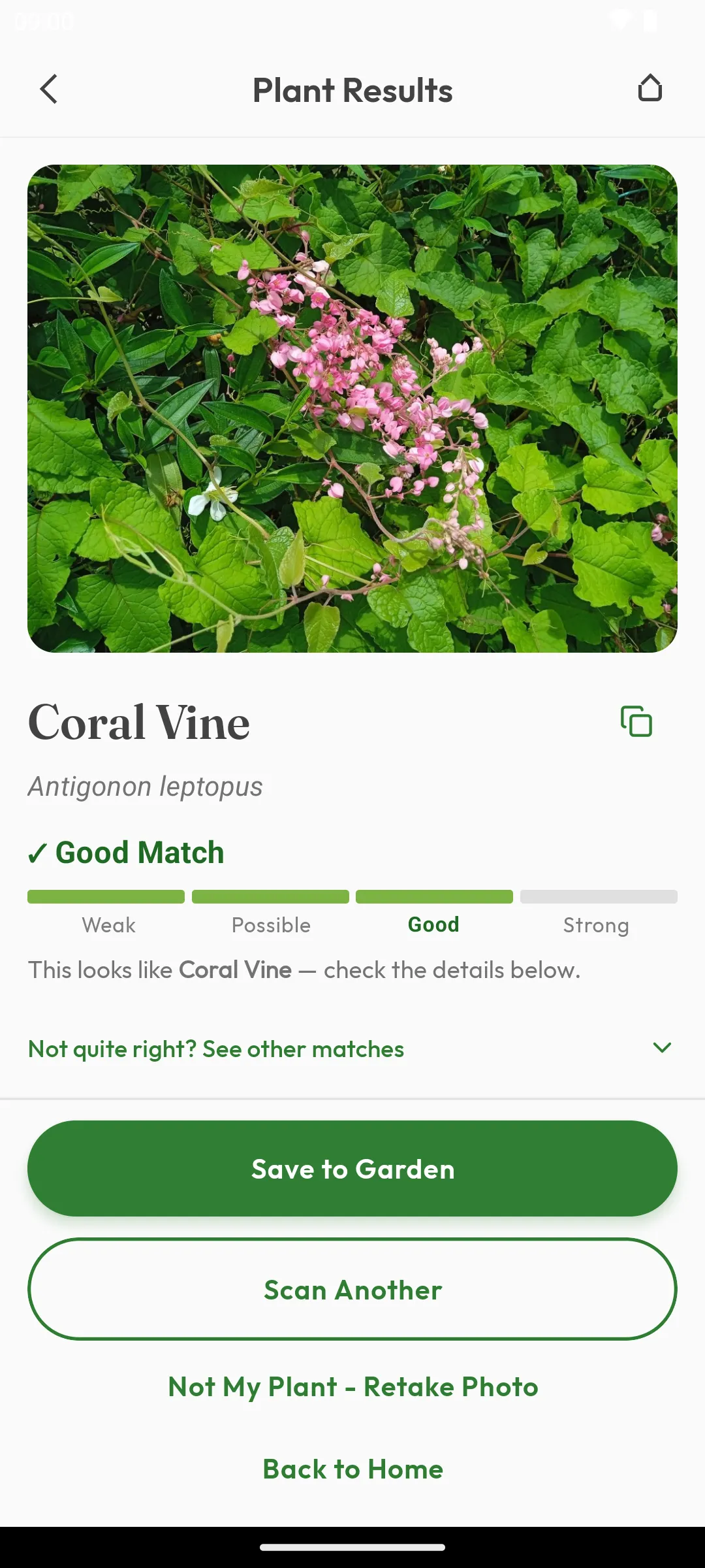 Plant Results screen identifying Coral Vine as a Good Match, with a confidence meter running from Weak to Strong