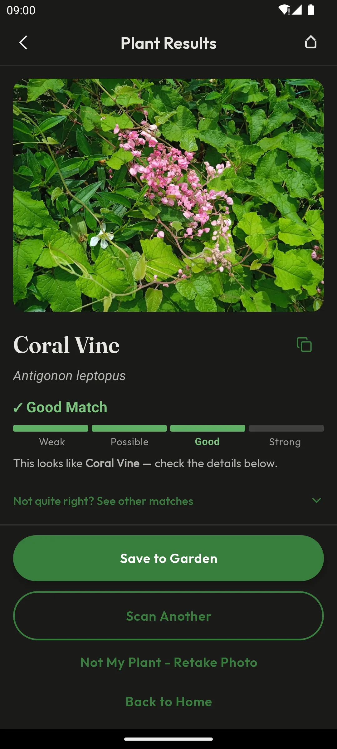 Plant Results screen identifying Coral Vine as a Good Match, with a confidence meter running from Weak to Strong