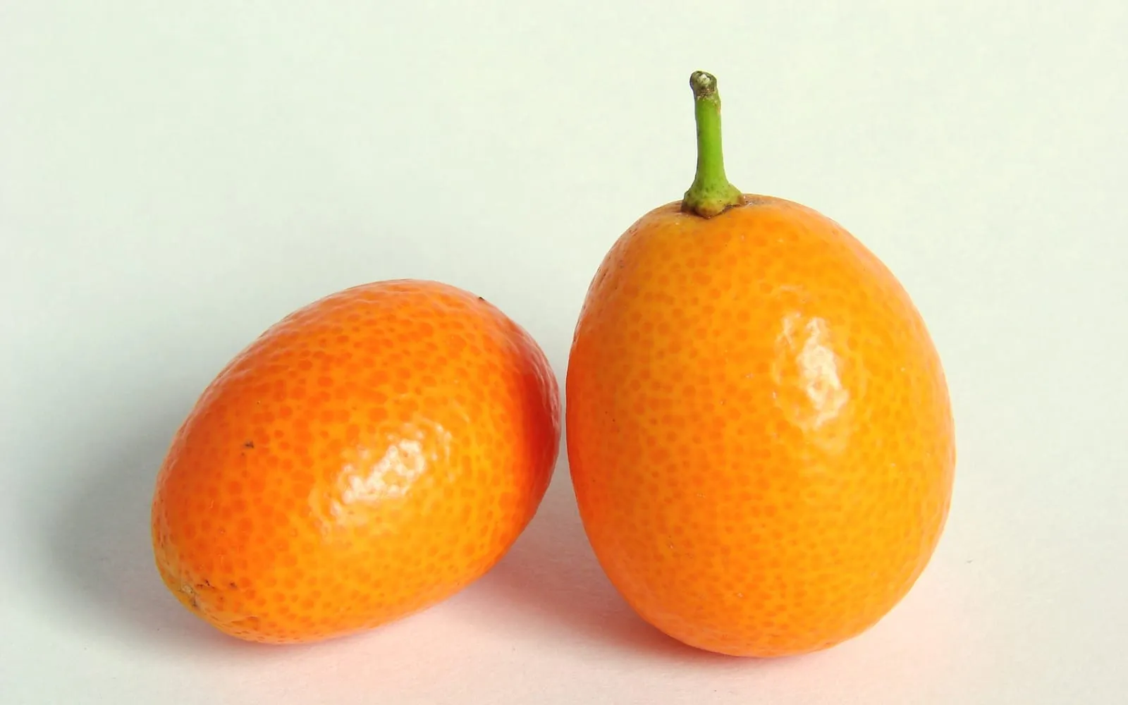 Two oval kumquats, one still carrying its green stalk