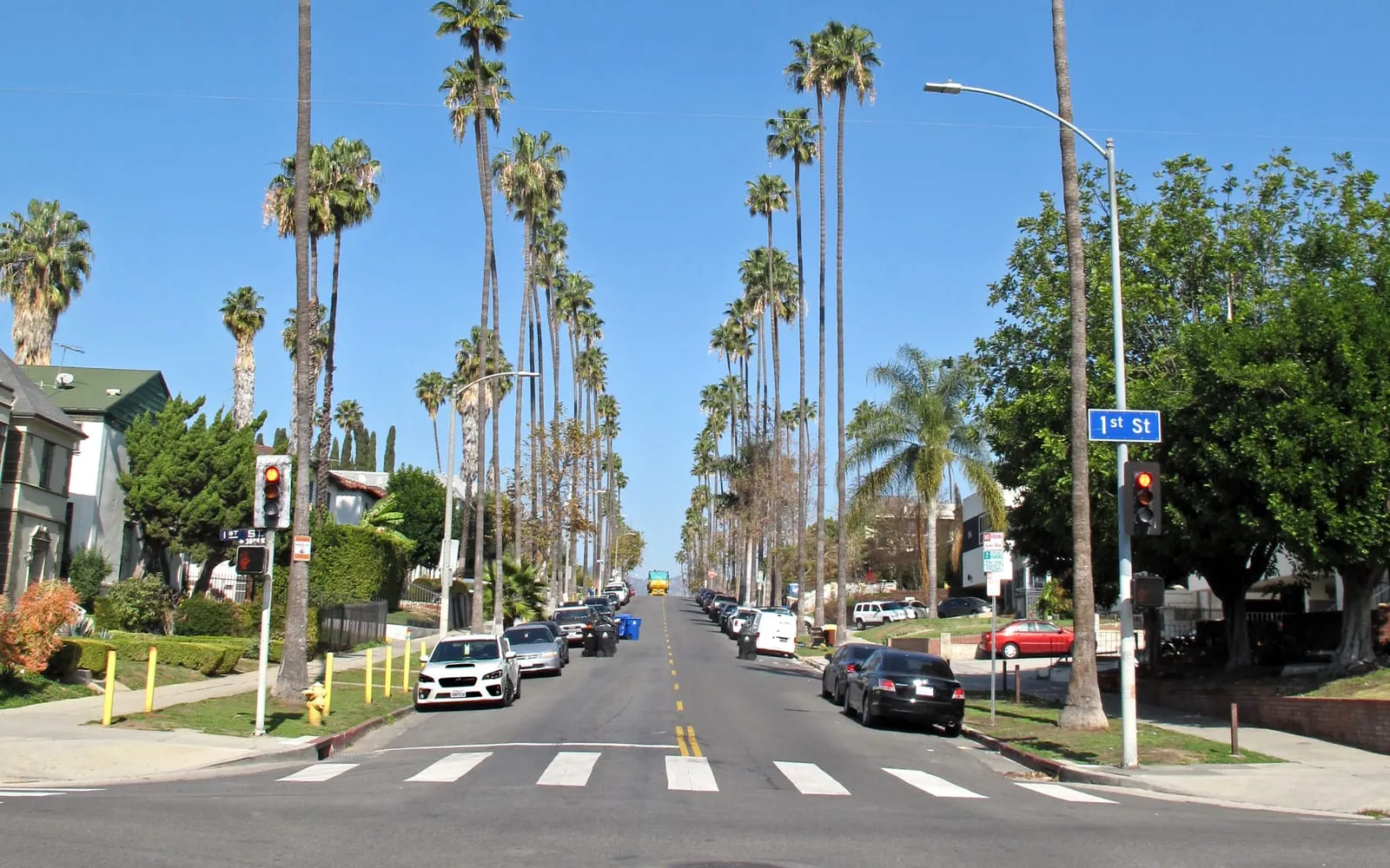 Tall, slender Mexican fan palms with narrow trunks and small fan-shaped crowns lining a city street