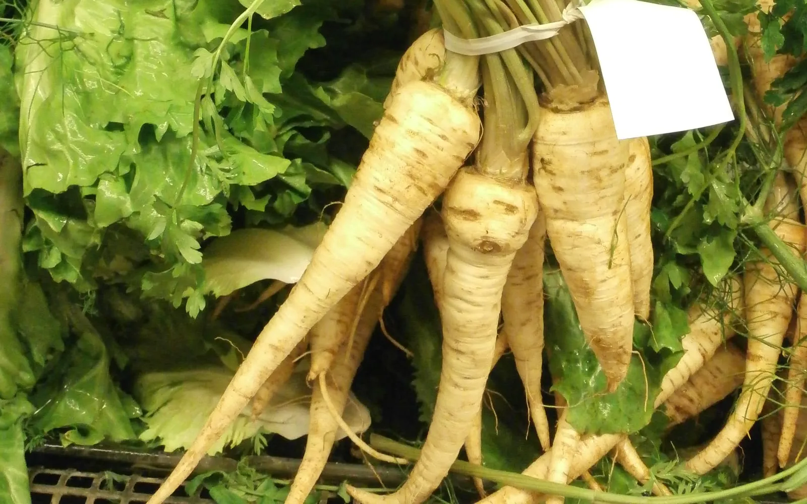 A bundle of creamy white parsnips with their green tops on a market stall