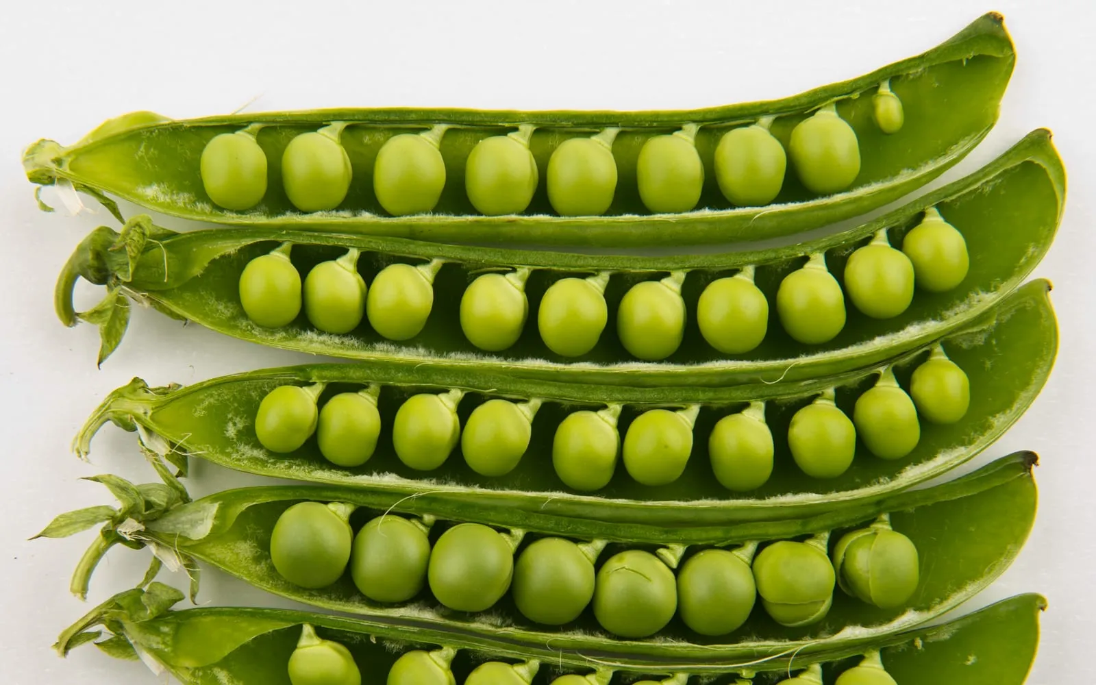 Fresh green pea pods, one split open to show the peas inside