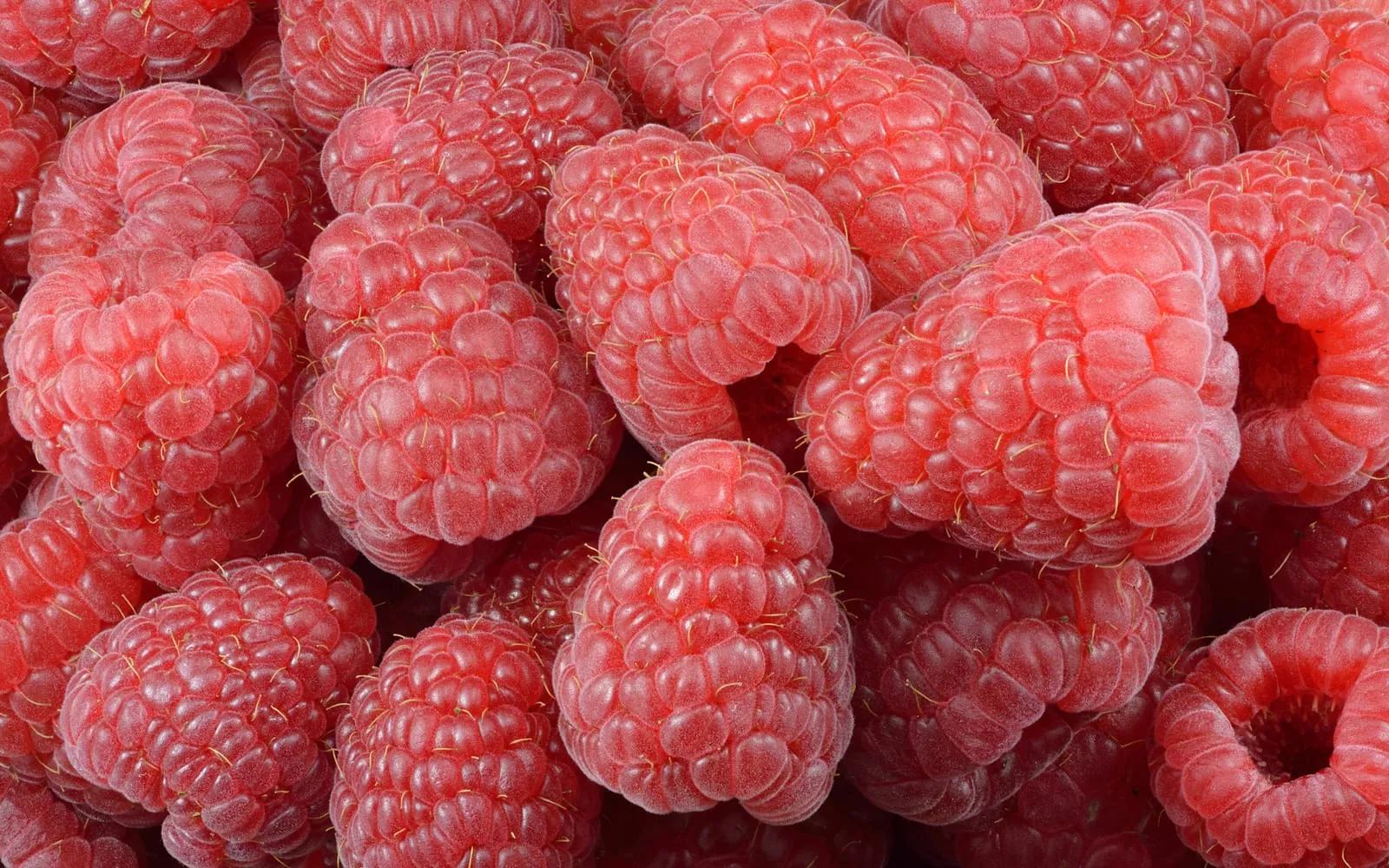 Ripe red raspberries filling the frame, showing the hollow centre and the fine hairs on each drupelet