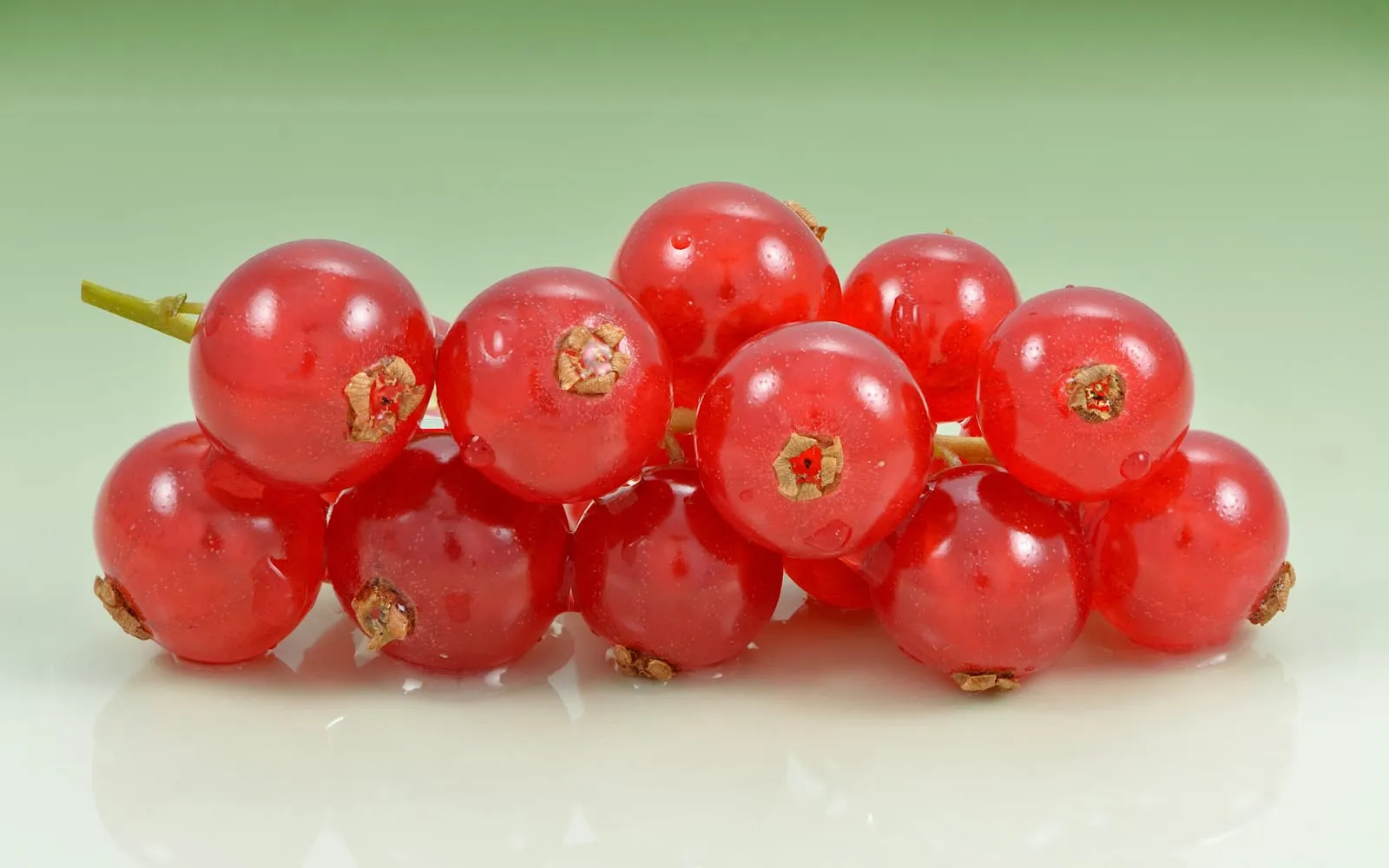 A cluster of translucent red redcurrants on their stalk, each berry showing the dried flower remnant at its tip