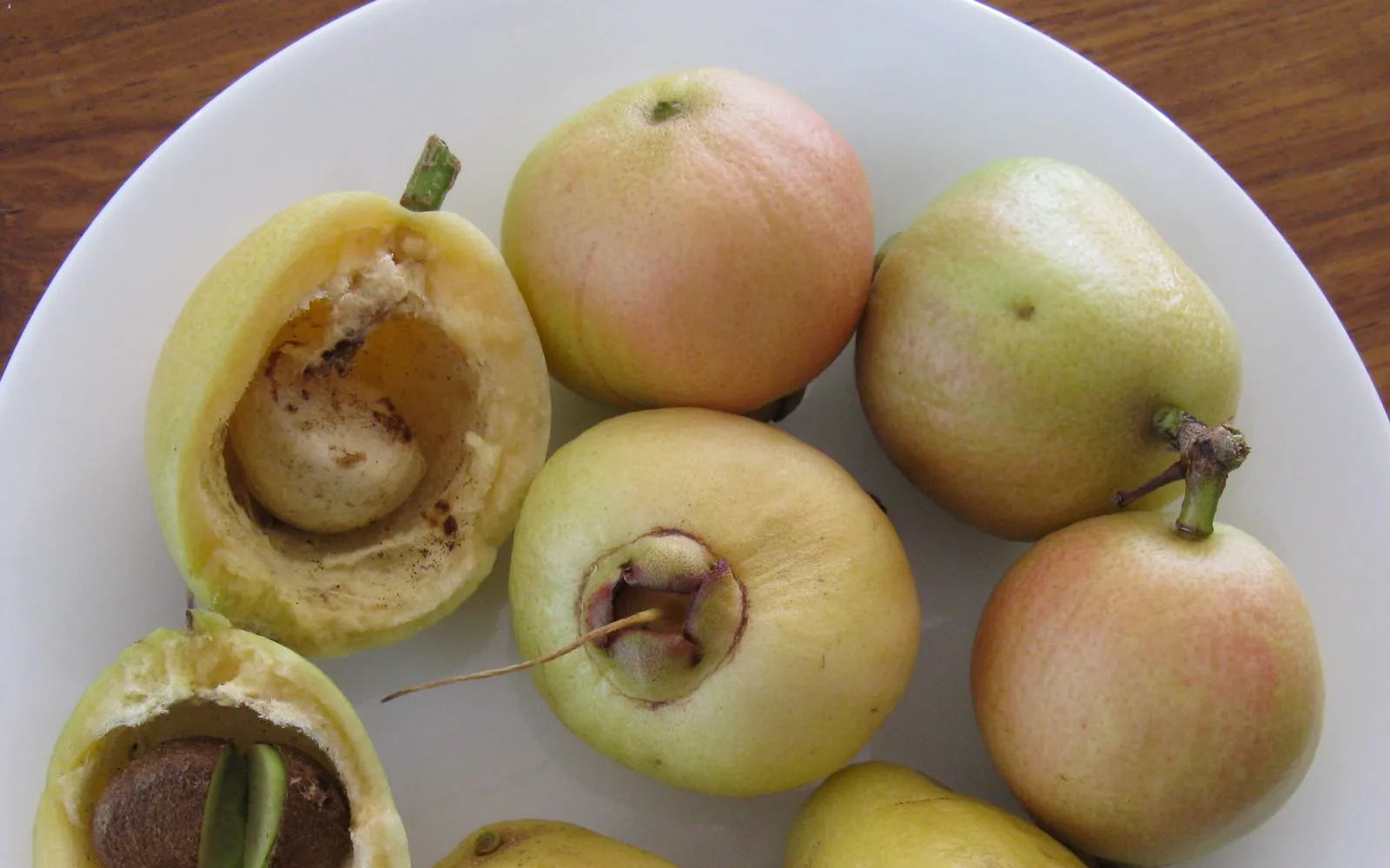 Several ripe rose apples, pale yellow to pink-blushed, on a plate, with one fruit cut open to show the single large seed inside