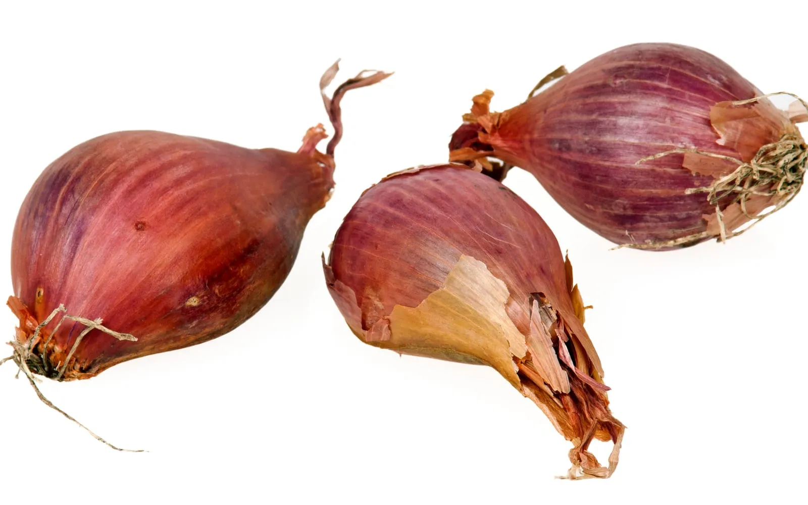 Three shallot bulbs with coppery-pink papery skins, one showing the flattened side where the cluster divided