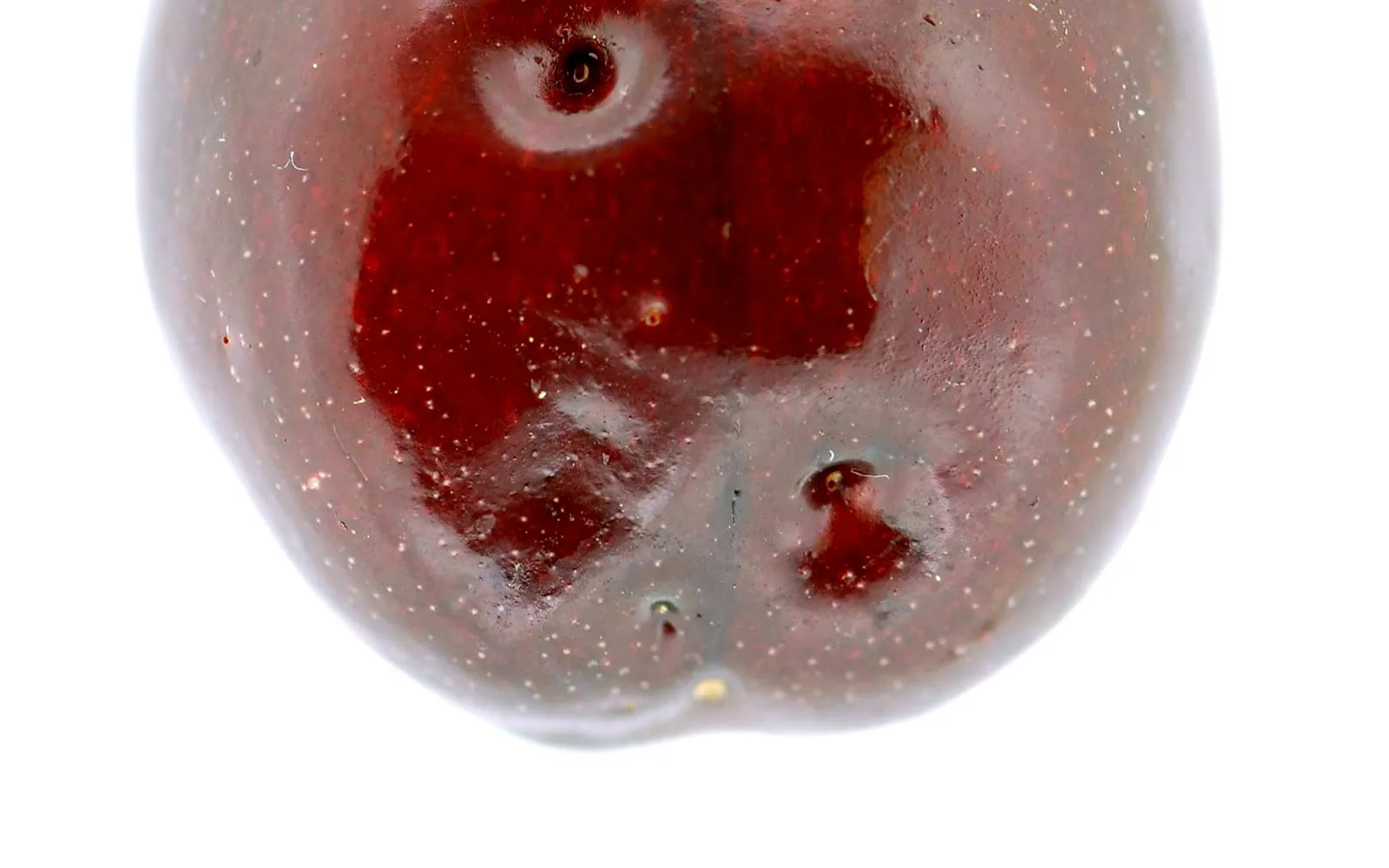 A dark red cherry photographed against white, with small sunken punctures ringed by pale haloes and the flesh collapsing around them