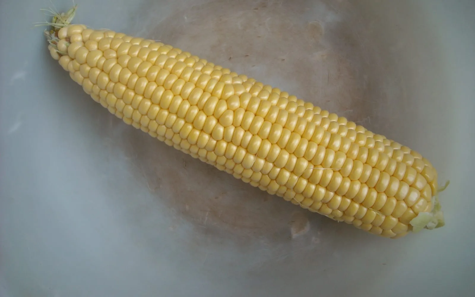 A sweetcorn cob with the husks removed, showing tight rows of yellow kernels