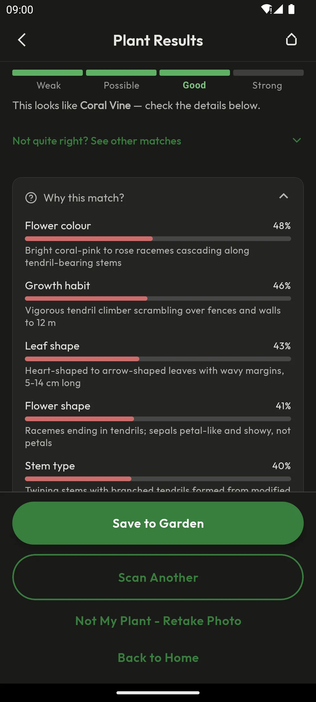 Why this match panel listing flower colour, growth habit, and leaf shape with per-feature match scores
