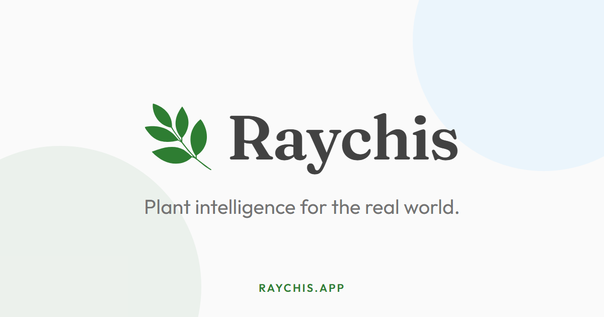 Raychis — 官网预览图